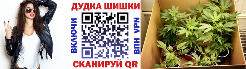 Где купить наркотики Бирюсинск Героин Альфа ПВП Гашиш Меф КОКАИН Конопля